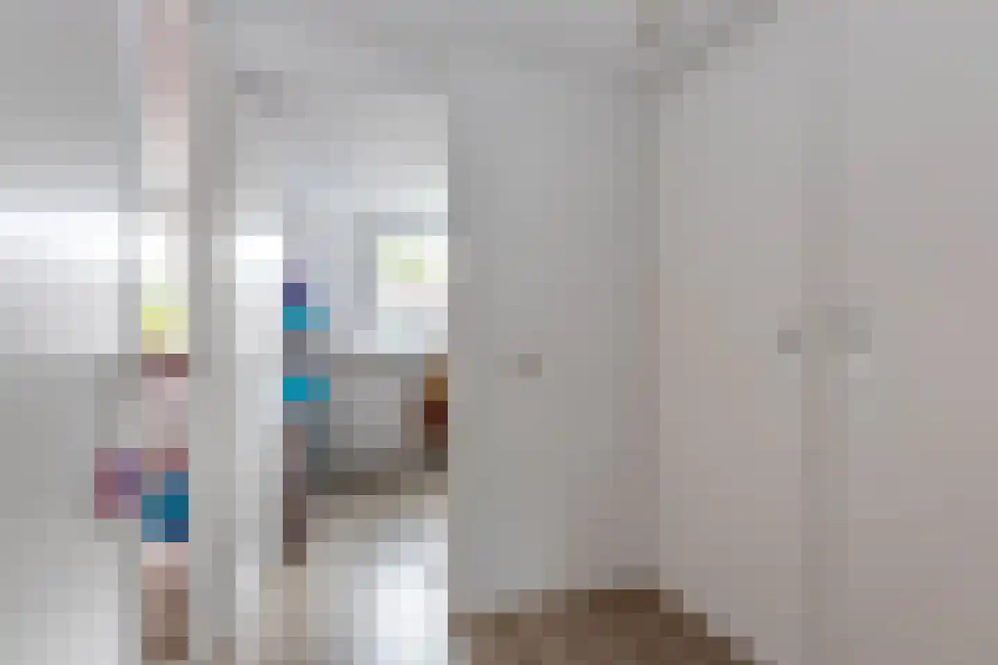 het Schar 46 Steenwijk thumbnail 21