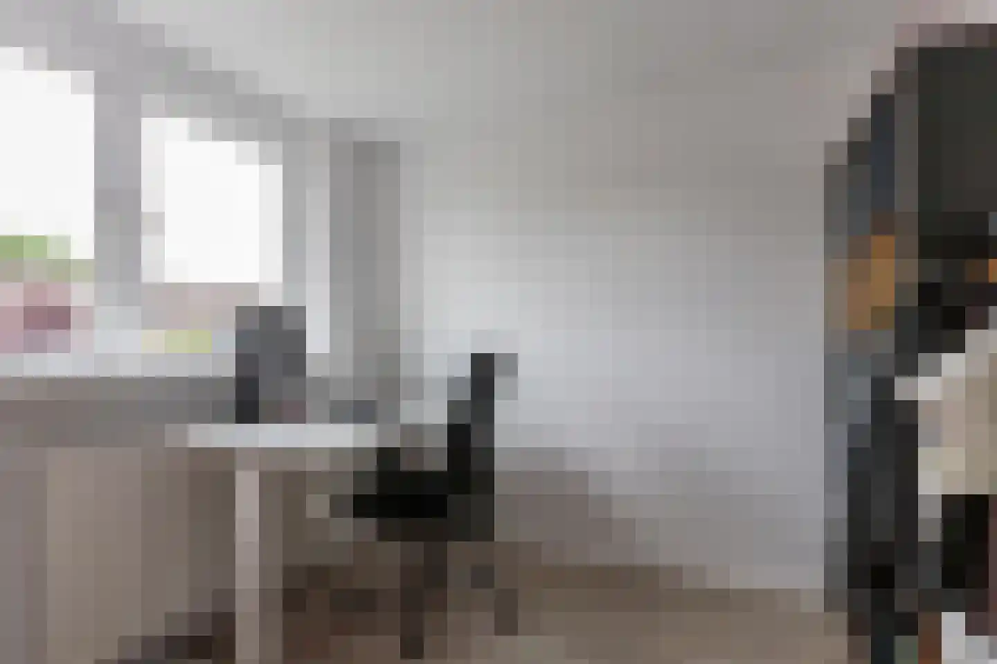 het Schar 46 Steenwijk thumbnail 26