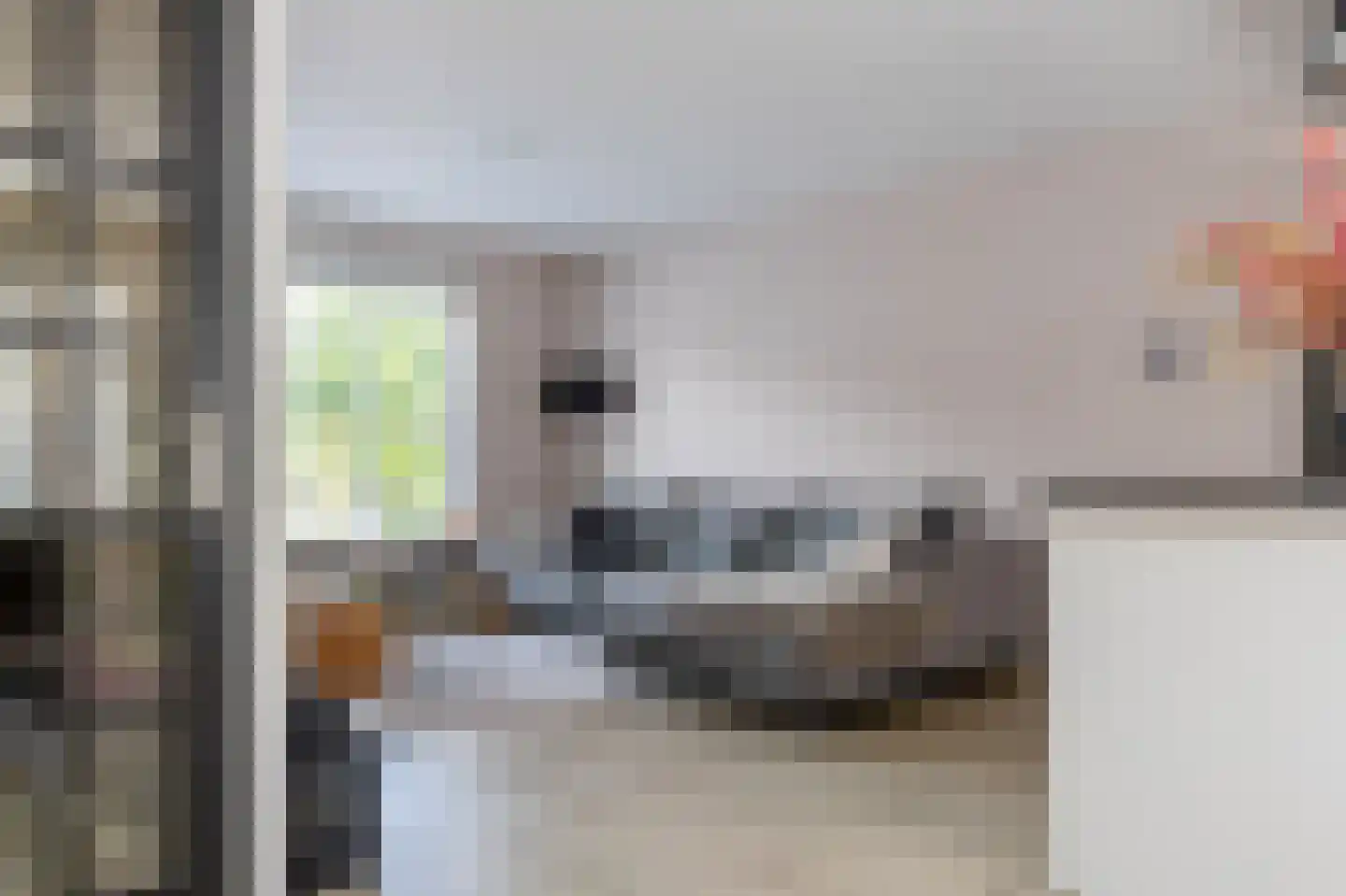 het Schar 46 Steenwijk foto 3
