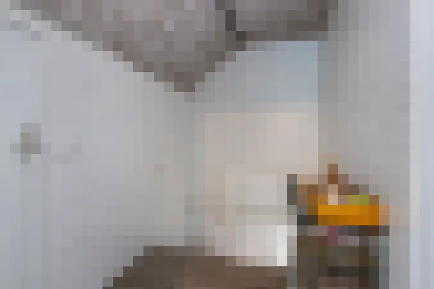 het Schar 46 Steenwijk thumbnail 32