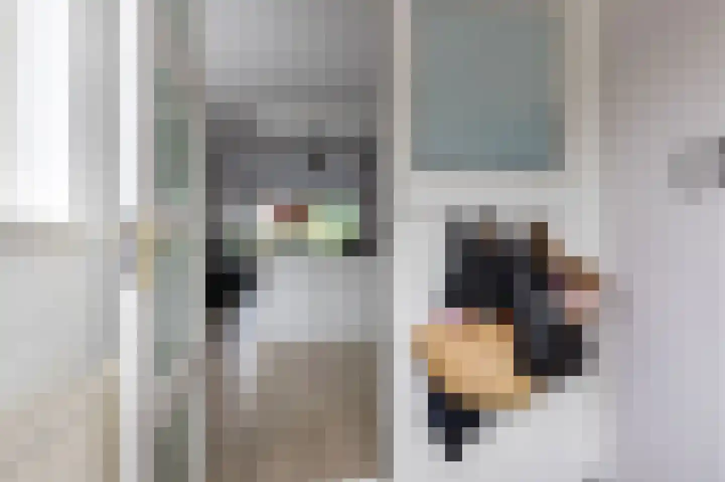 het Schar 46 Steenwijk thumbnail 36