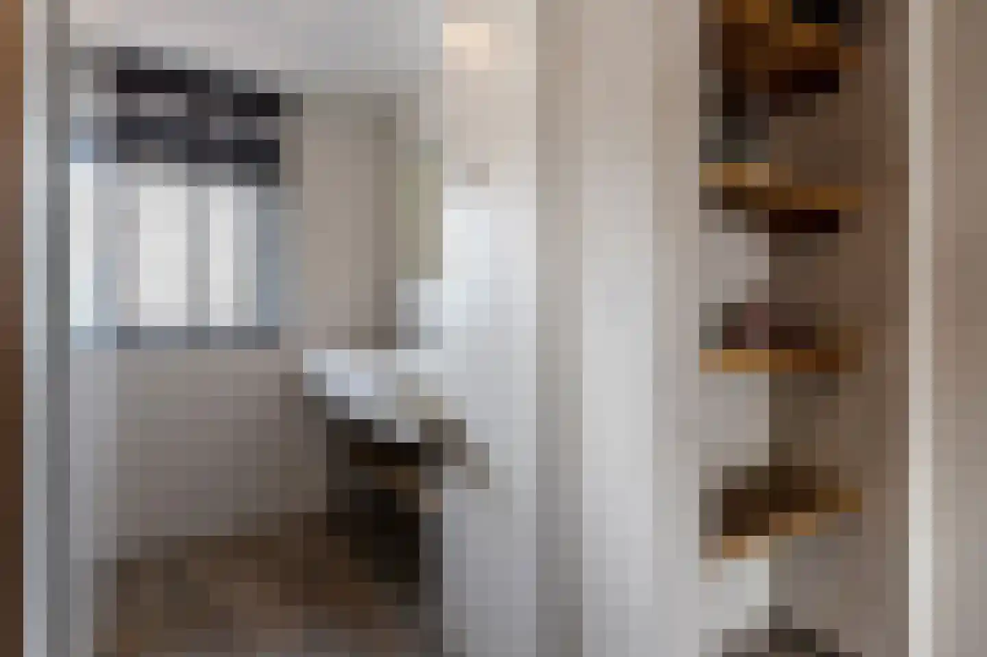 het Schar 46 Steenwijk thumbnail 4