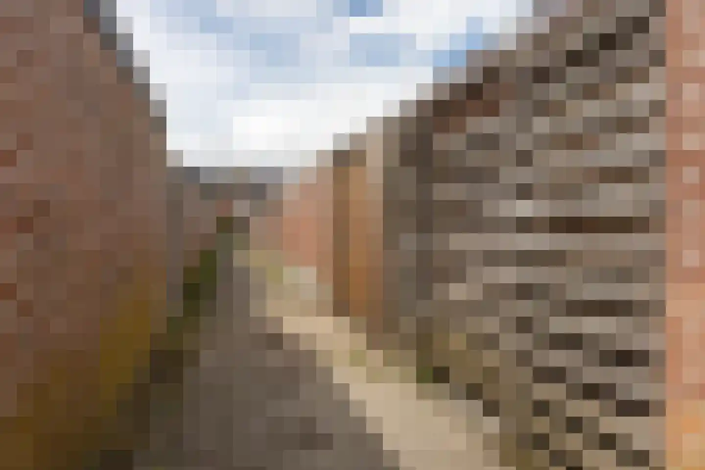het Schar 46 Steenwijk thumbnail 44