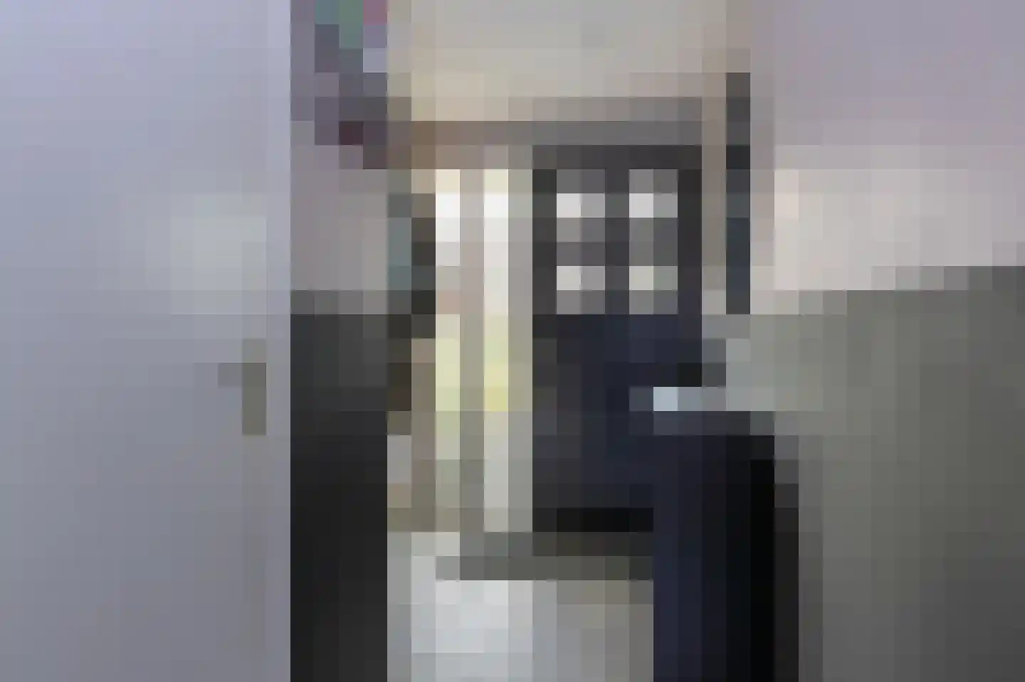 het Schar 46 Steenwijk thumbnail 7