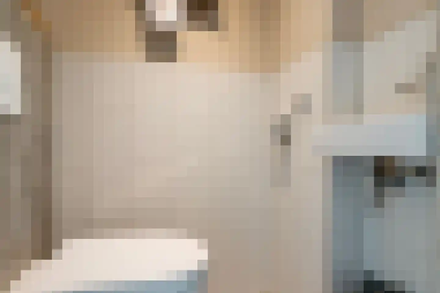 het Schar 46 Steenwijk thumbnail 8