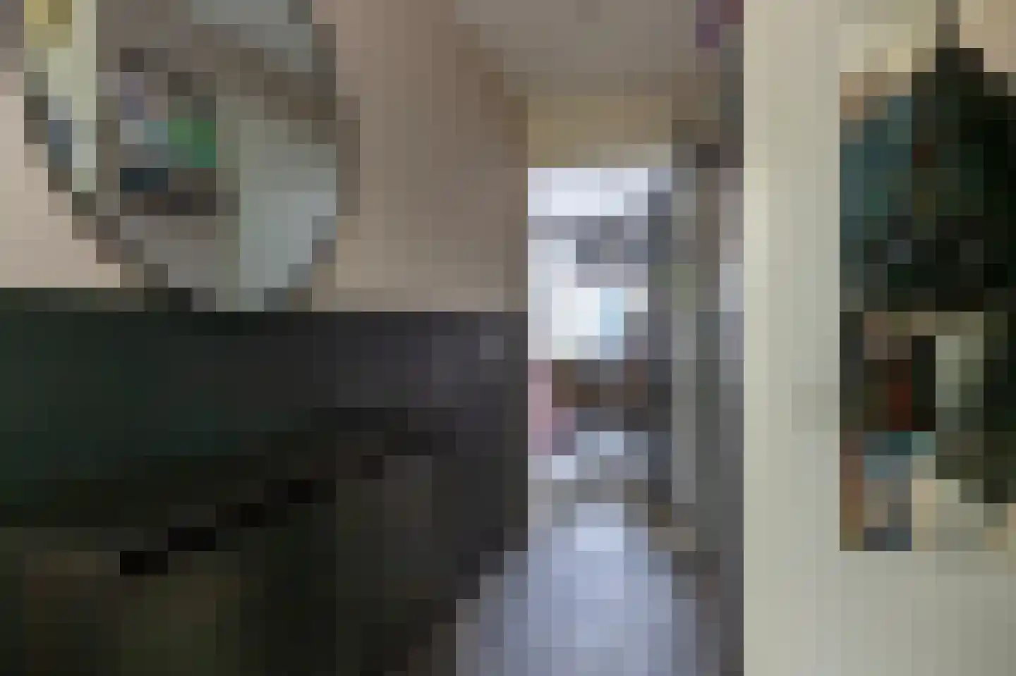 het Schar 46 Steenwijk thumbnail 9