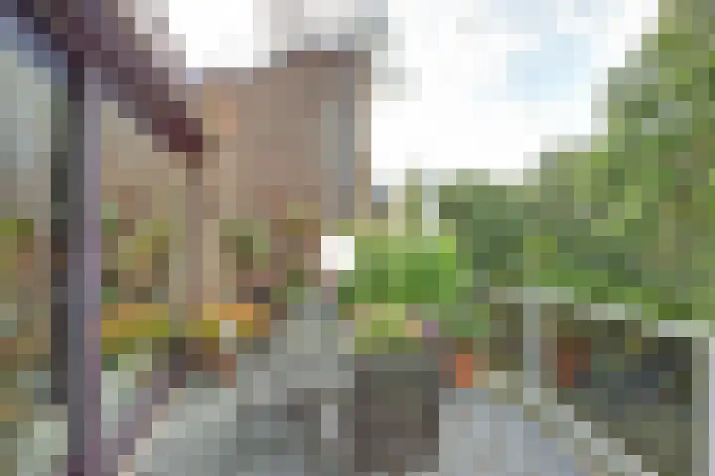 Het Scherpenzeel 24 Driebergen-Rijsenburg thumbnail 27