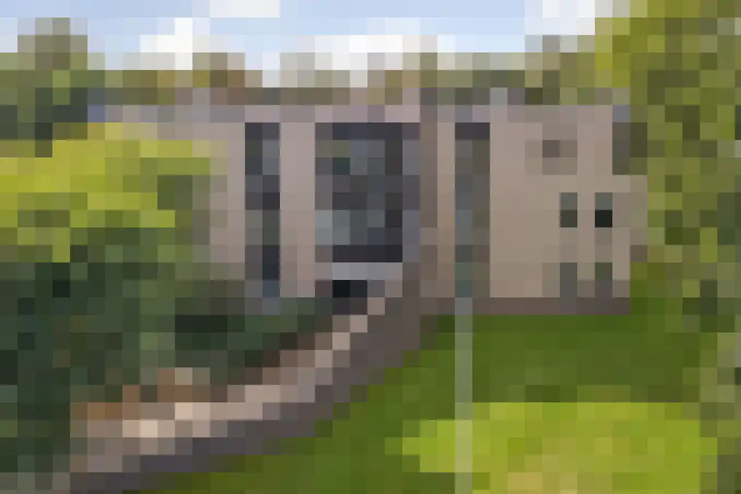 Het Scherpenzeel 24 Driebergen-Rijsenburg thumbnail 36