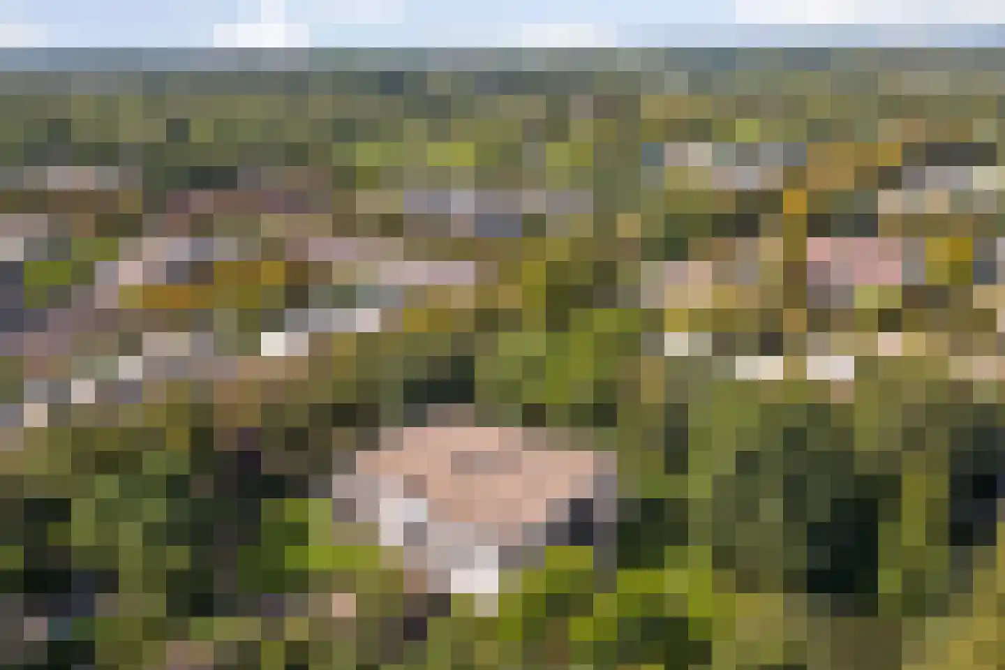 Het Scherpenzeel 24 Driebergen-Rijsenburg thumbnail 38