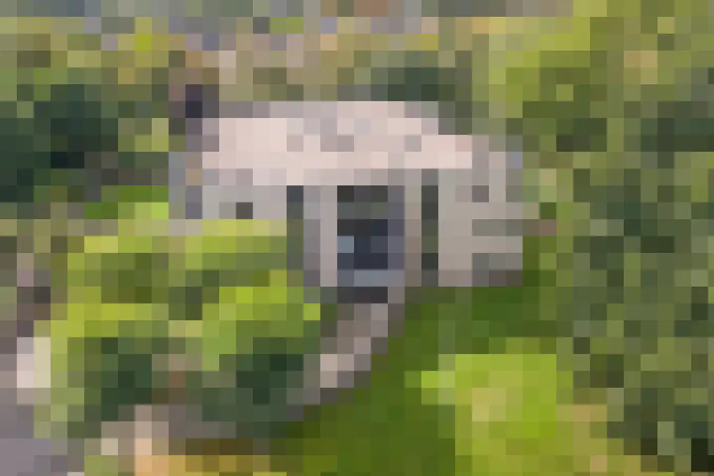 Het Scherpenzeel 24 Driebergen-Rijsenburg thumbnail 41