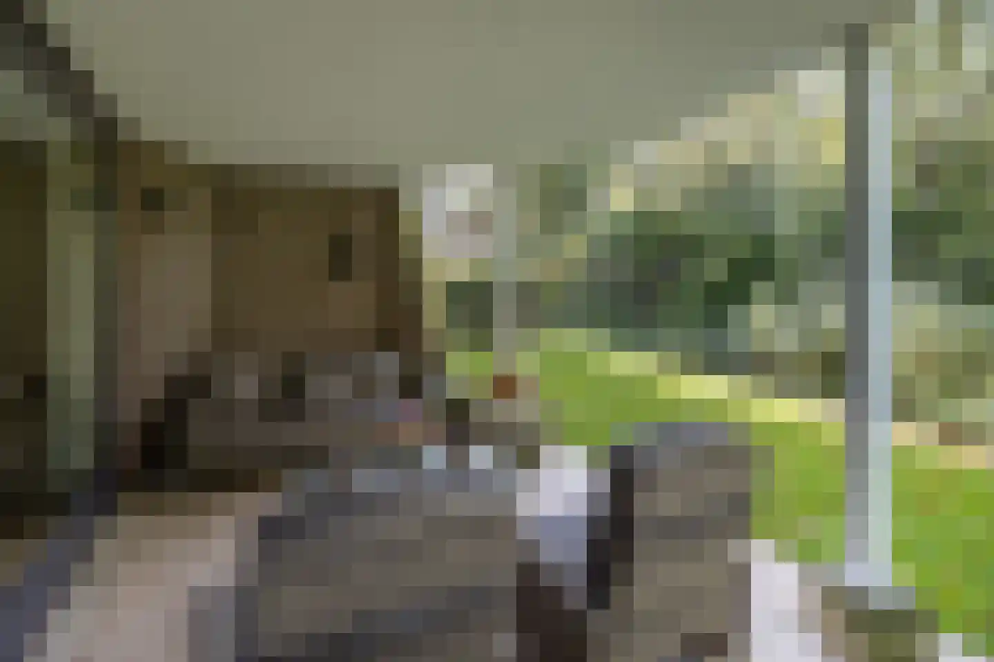 Het Scherpenzeel 8 Driebergen-Rijsenburg thumbnail 29