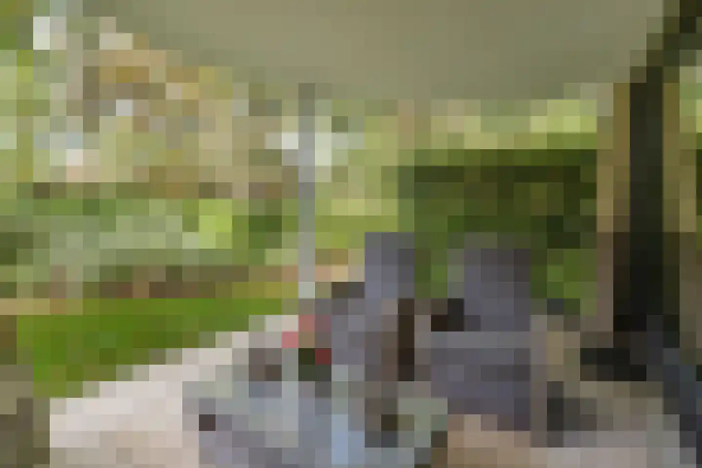 Het Scherpenzeel 8 Driebergen-Rijsenburg thumbnail 30