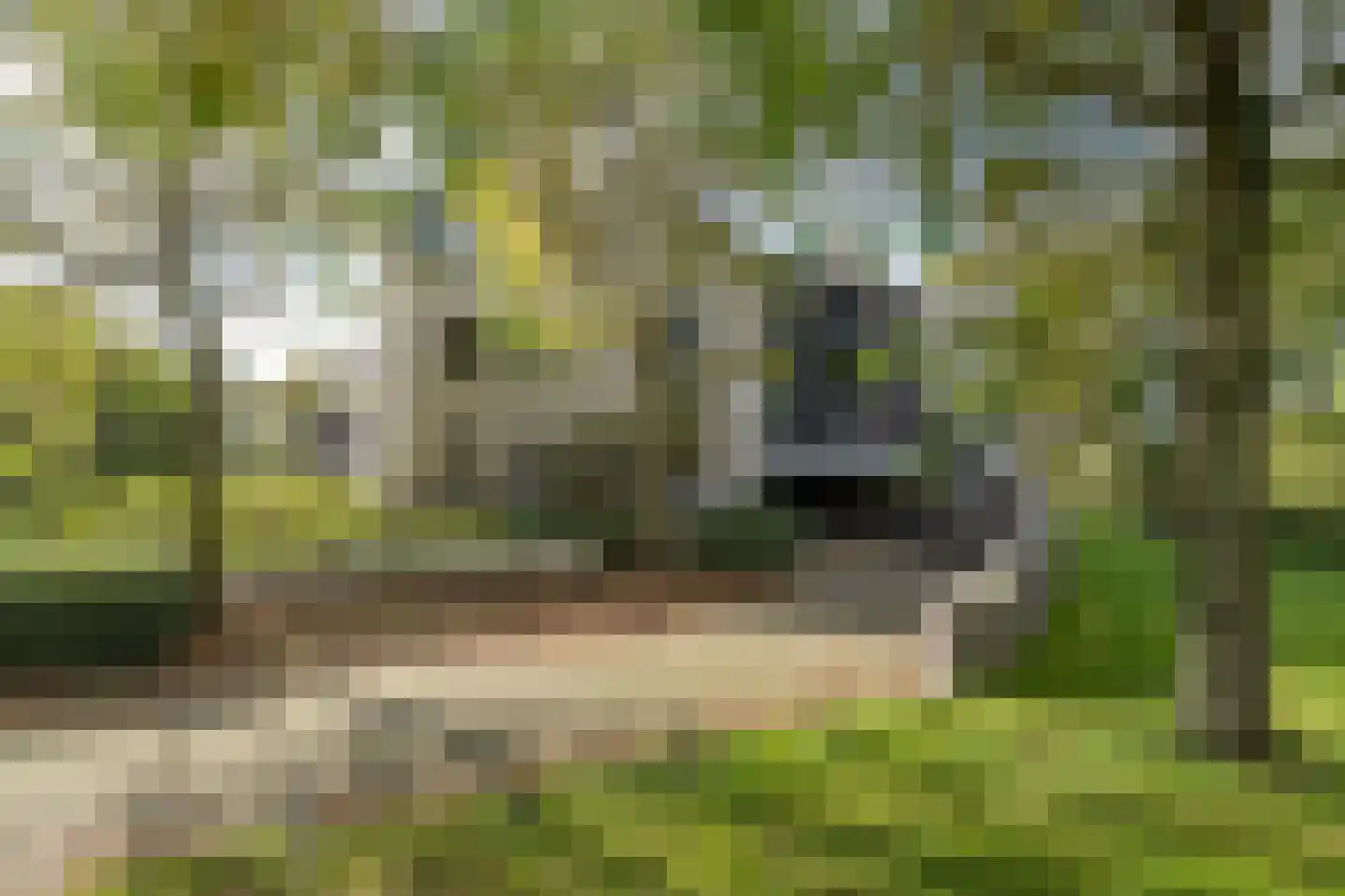 Het Scherpenzeel 8 Driebergen-Rijsenburg thumbnail 35