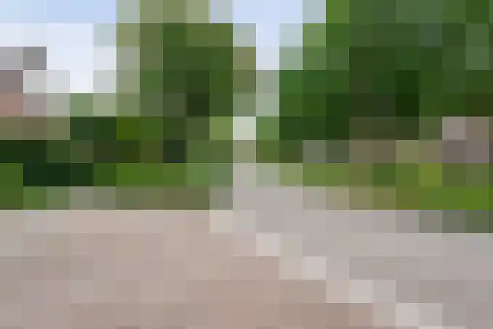 Het Schild 13 Balkbrug thumbnail 39