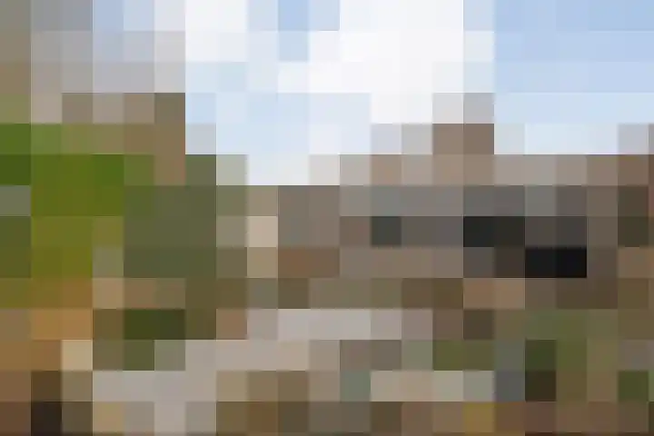 Het Schild 15 in Balkbrug