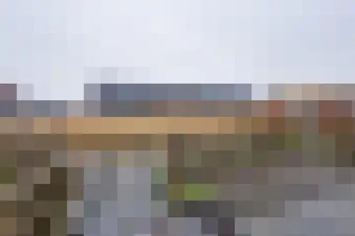 Het Schild 19 Heerhugowaard thumbnail 33