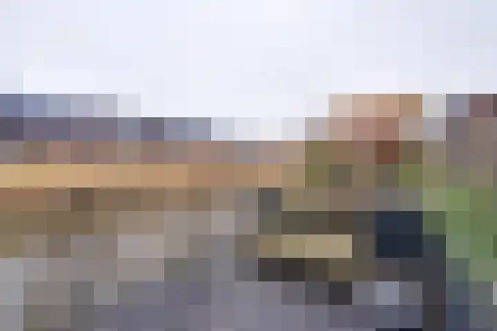 Het Schild 19 Heerhugowaard thumbnail 34