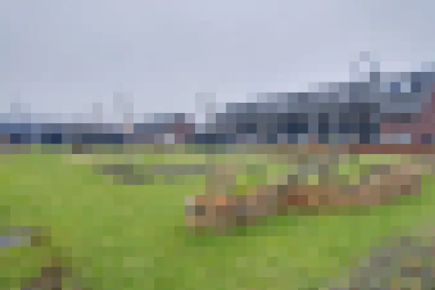 Het Schild 19 Heerhugowaard thumbnail 50
