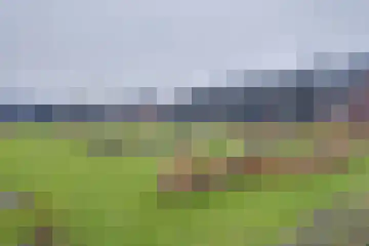 Het Schild 19 Heerhugowaard thumbnail 50