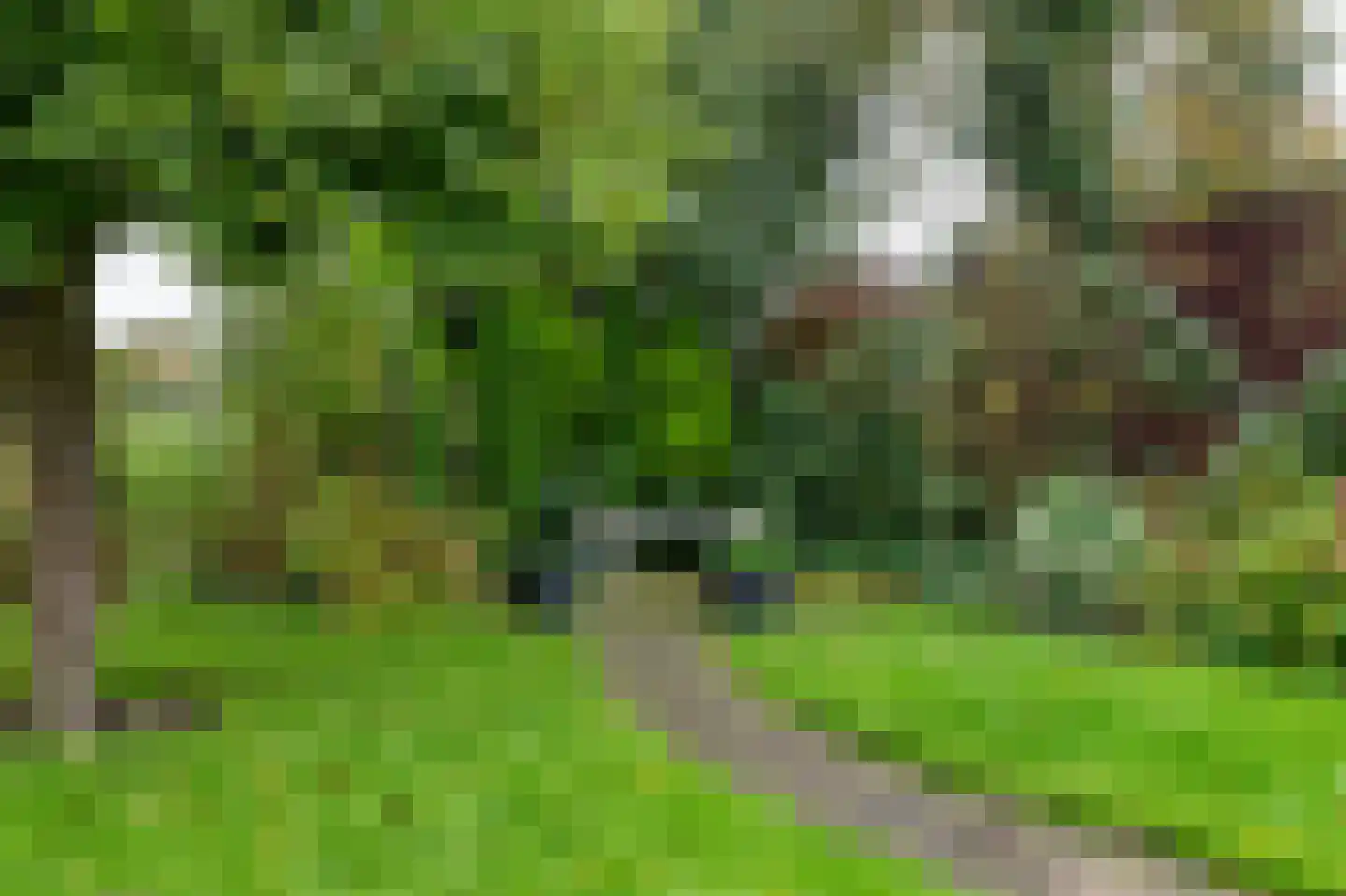 Het Schild 25 Steenwijkerwold thumbnail 50