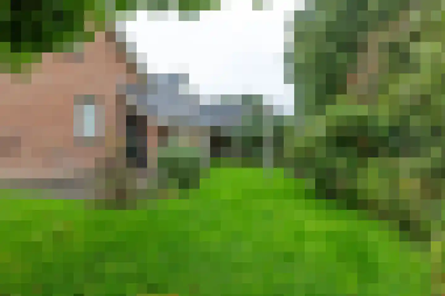 Het Schild 25 Steenwijkerwold thumbnail 52