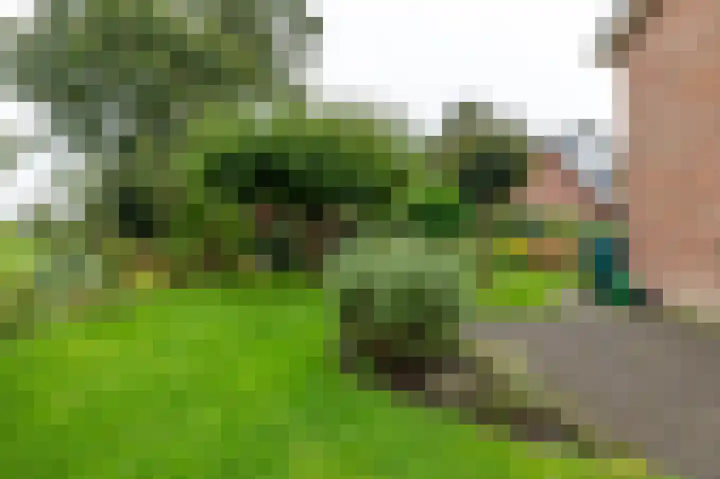 Het Schild 25 Steenwijkerwold thumbnail 54