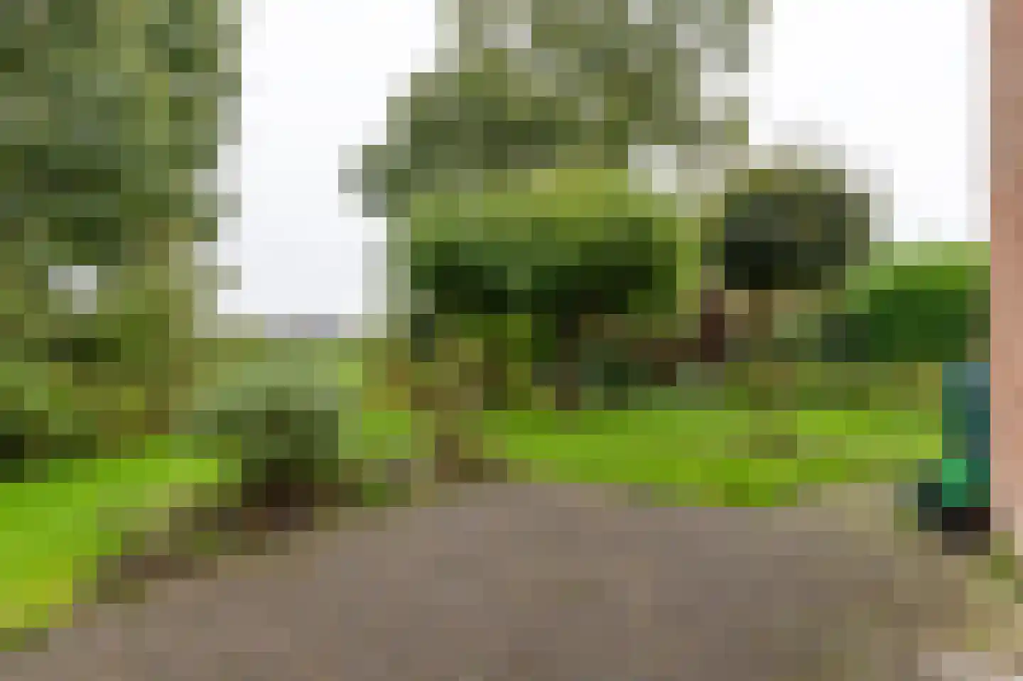 Het Schild 25 Steenwijkerwold thumbnail 55