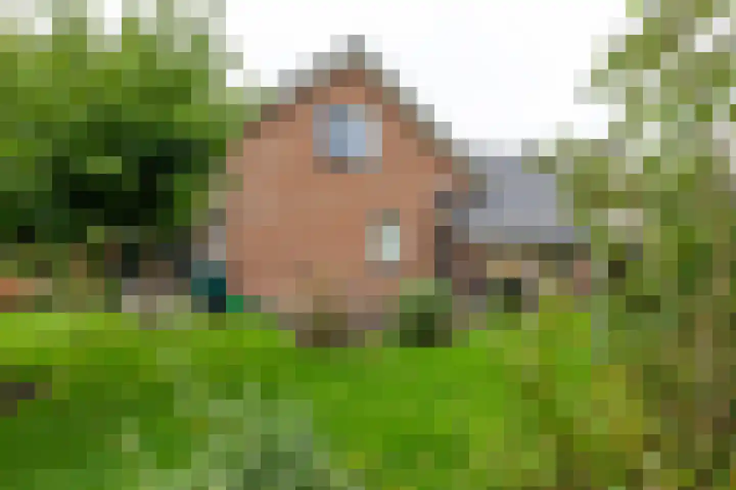 Het Schild 25 Steenwijkerwold thumbnail 56