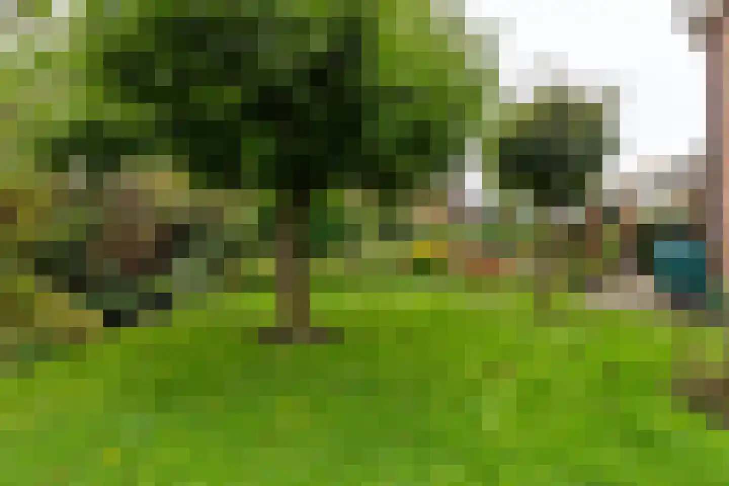 Het Schild 25 Steenwijkerwold thumbnail 57