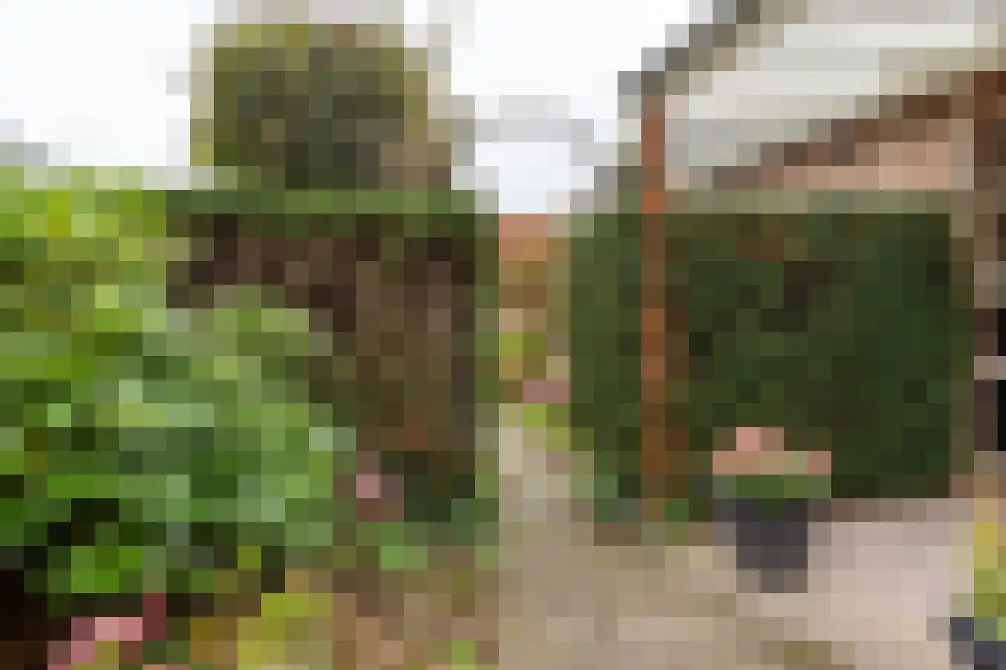 Het Schild 25 Steenwijkerwold thumbnail 59