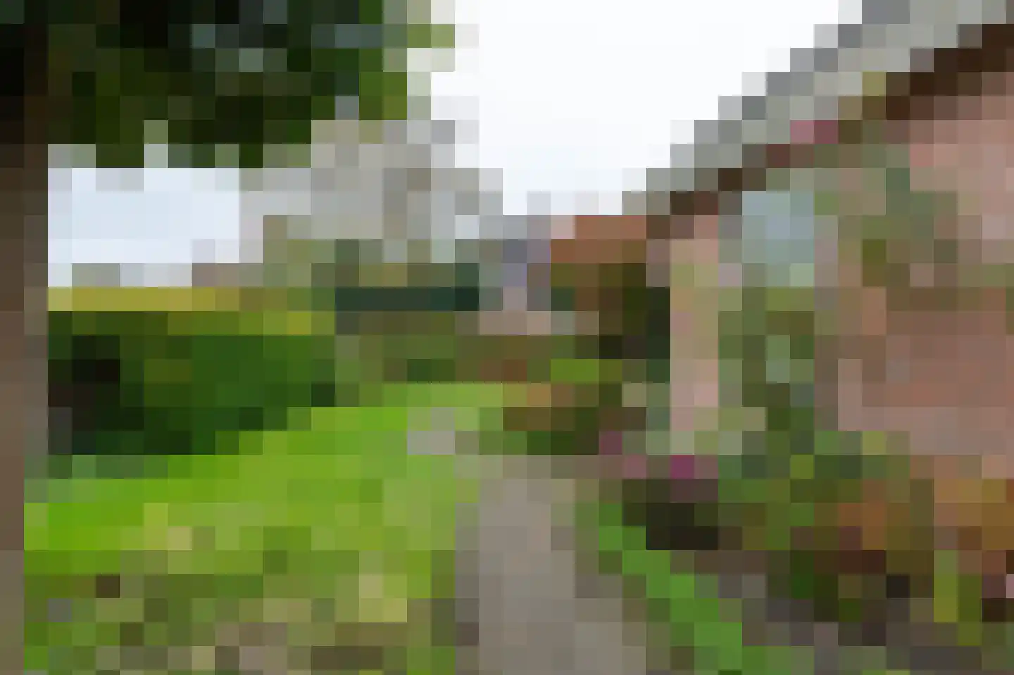 Het Schild 25 Steenwijkerwold thumbnail 60