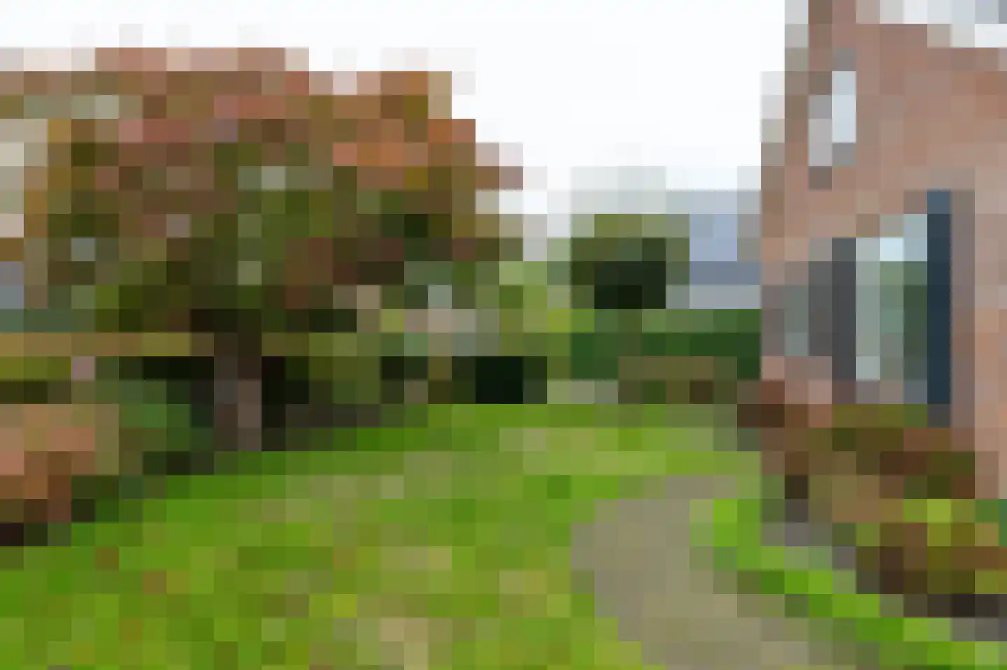 Het Schild 25 Steenwijkerwold thumbnail 62