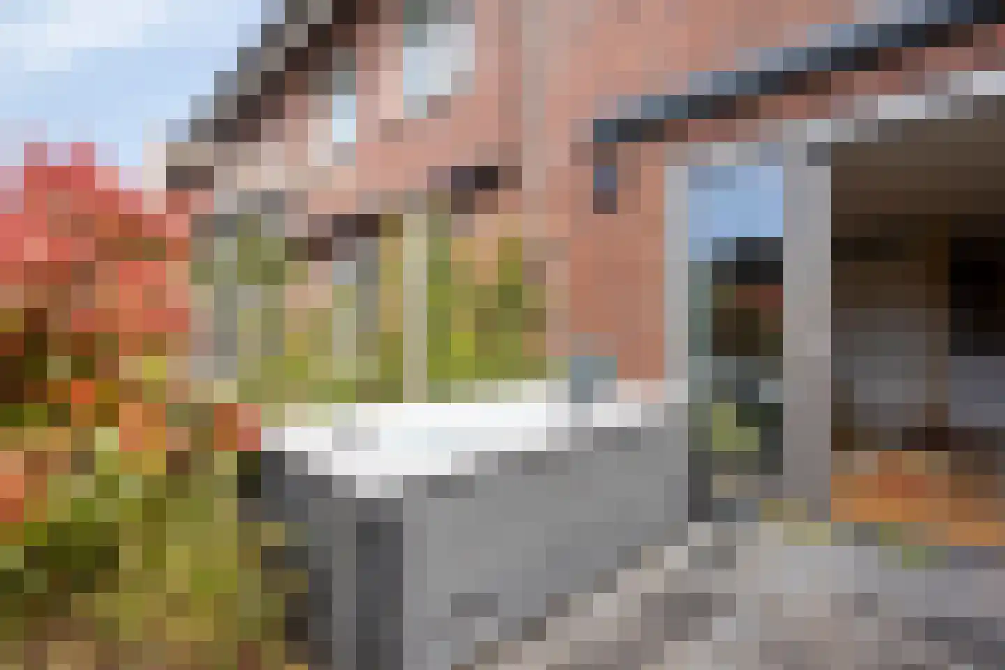 Het Schild 26 Heerhugowaard thumbnail 47