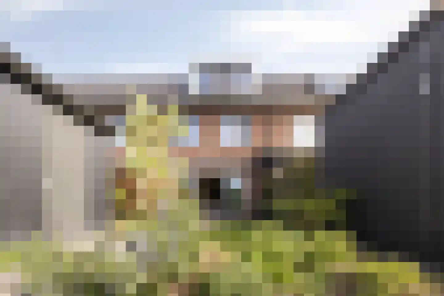 Het Schild 26 Heerhugowaard thumbnail 5