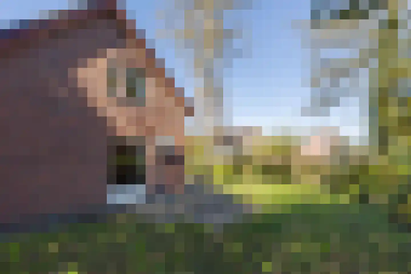 Het Schild 3 Steenwijkerwold thumbnail 35