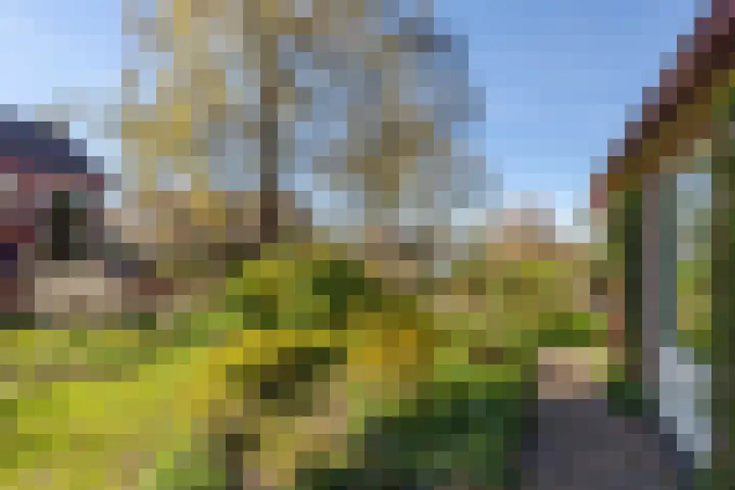 Het Schild 3 Steenwijkerwold thumbnail 6