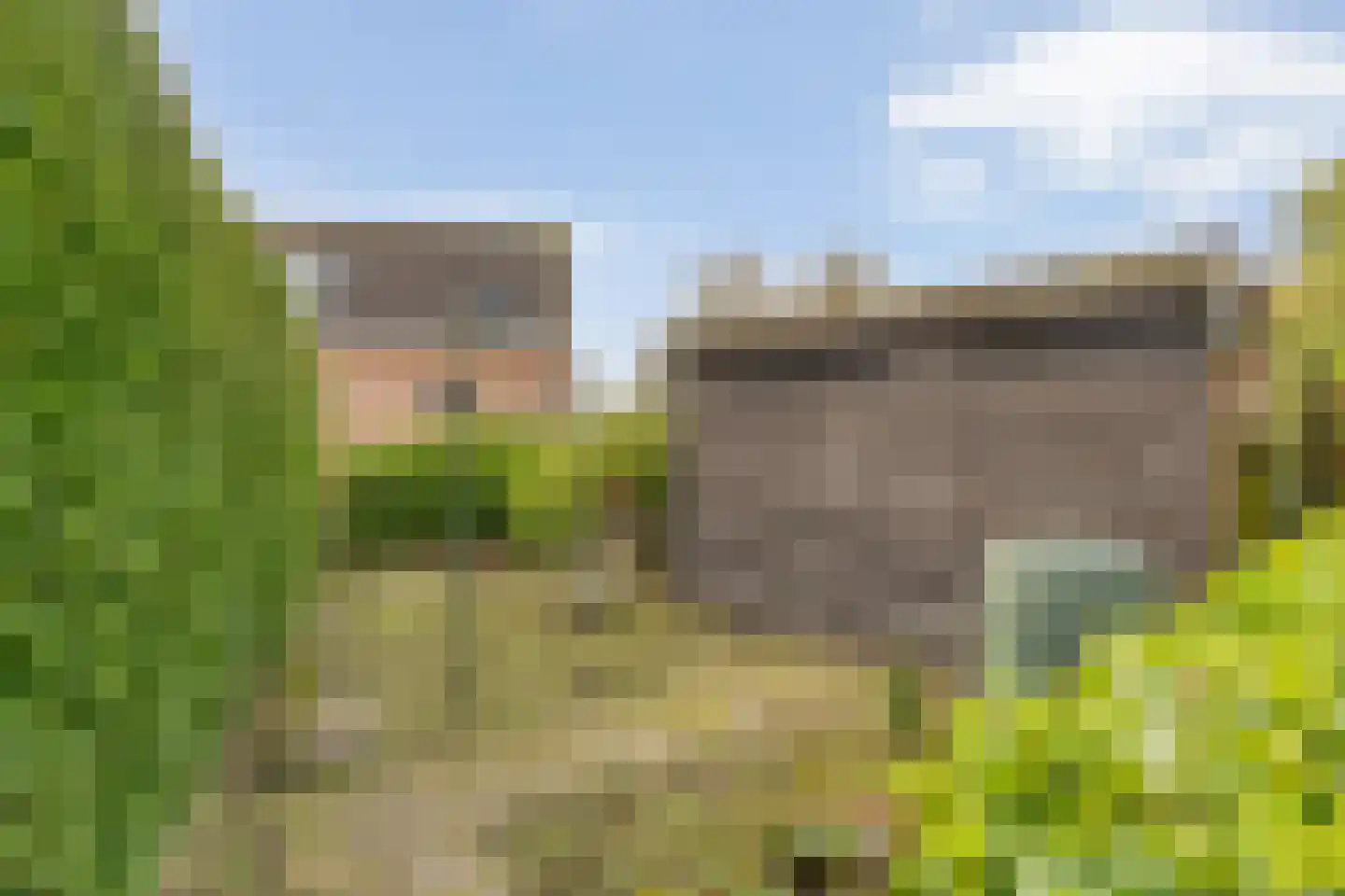 Het Schild 41 Steenwijkerwold thumbnail 37