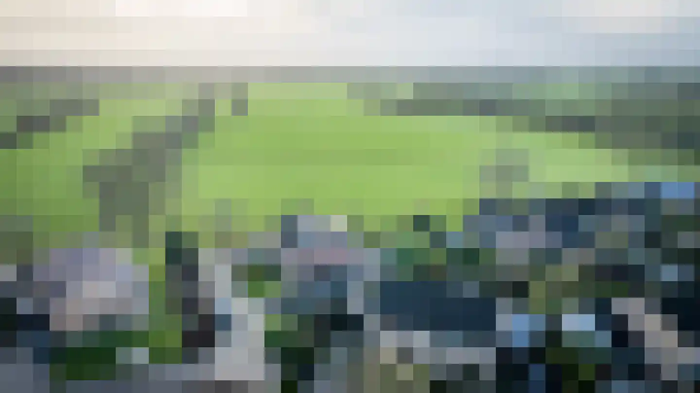 Het Schild 41 Steenwijkerwold thumbnail 55