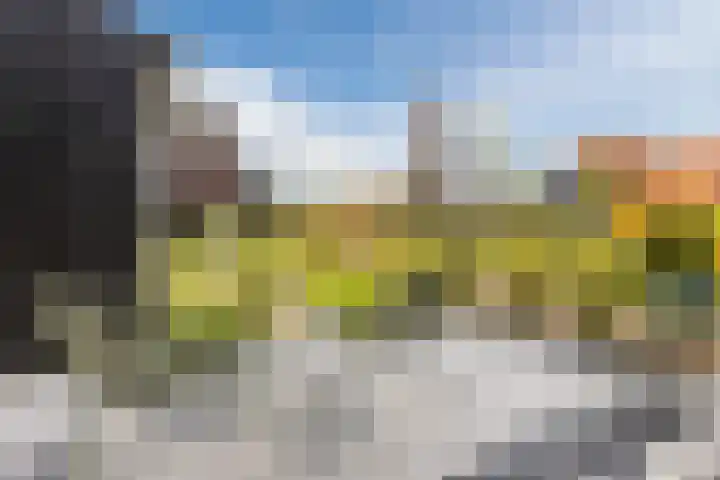 Het Schild 49 Heerhugowaard thumbnail 38
