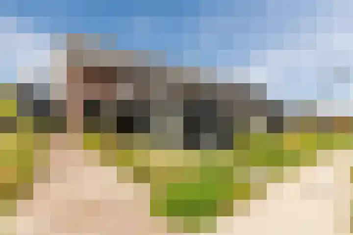 Het Schild 49 Heerhugowaard thumbnail 4