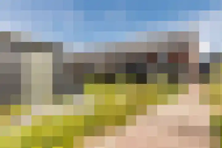 Het Schild 49 Heerhugowaard thumbnail 43