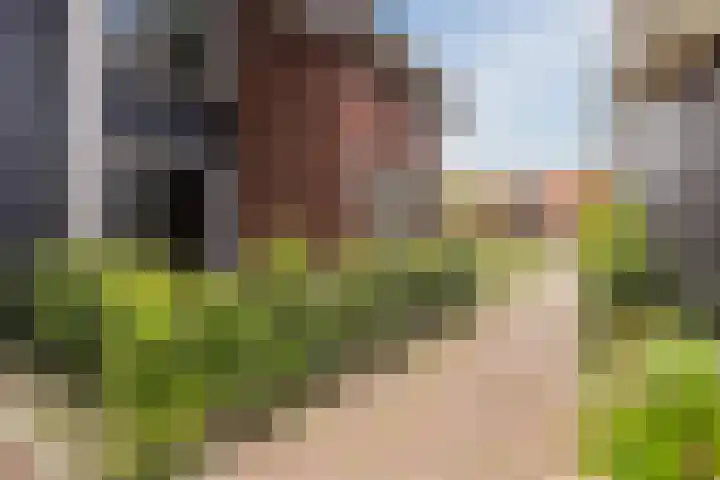 Het Schild 49 Heerhugowaard thumbnail 44