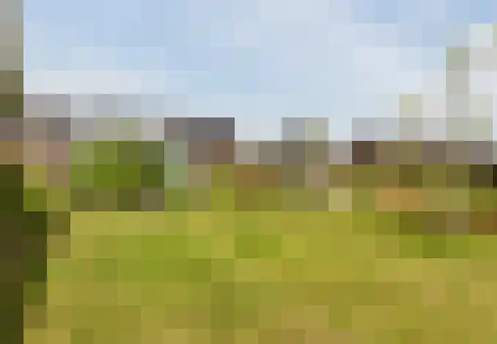 Het Schild 49 Heerhugowaard thumbnail 48