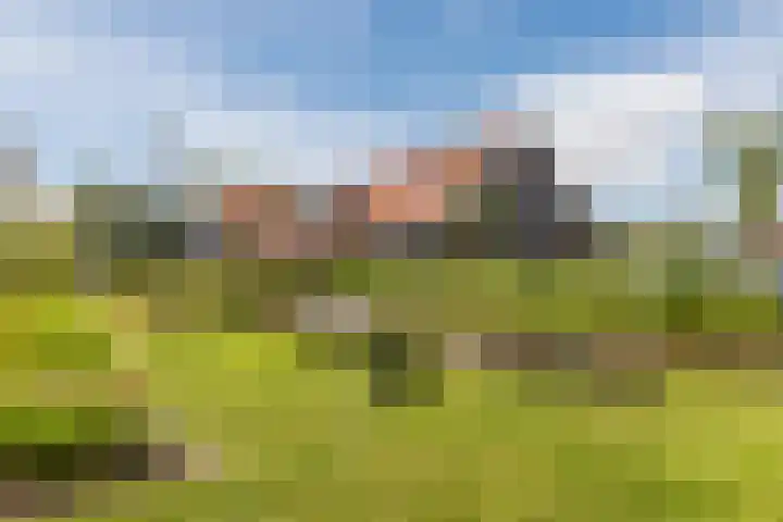 Het Schild 49 Heerhugowaard thumbnail 49