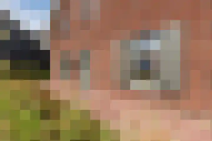 Het Schild 49 Heerhugowaard thumbnail 5