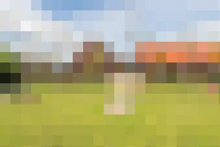 Het Schild 49 Heerhugowaard thumbnail 51