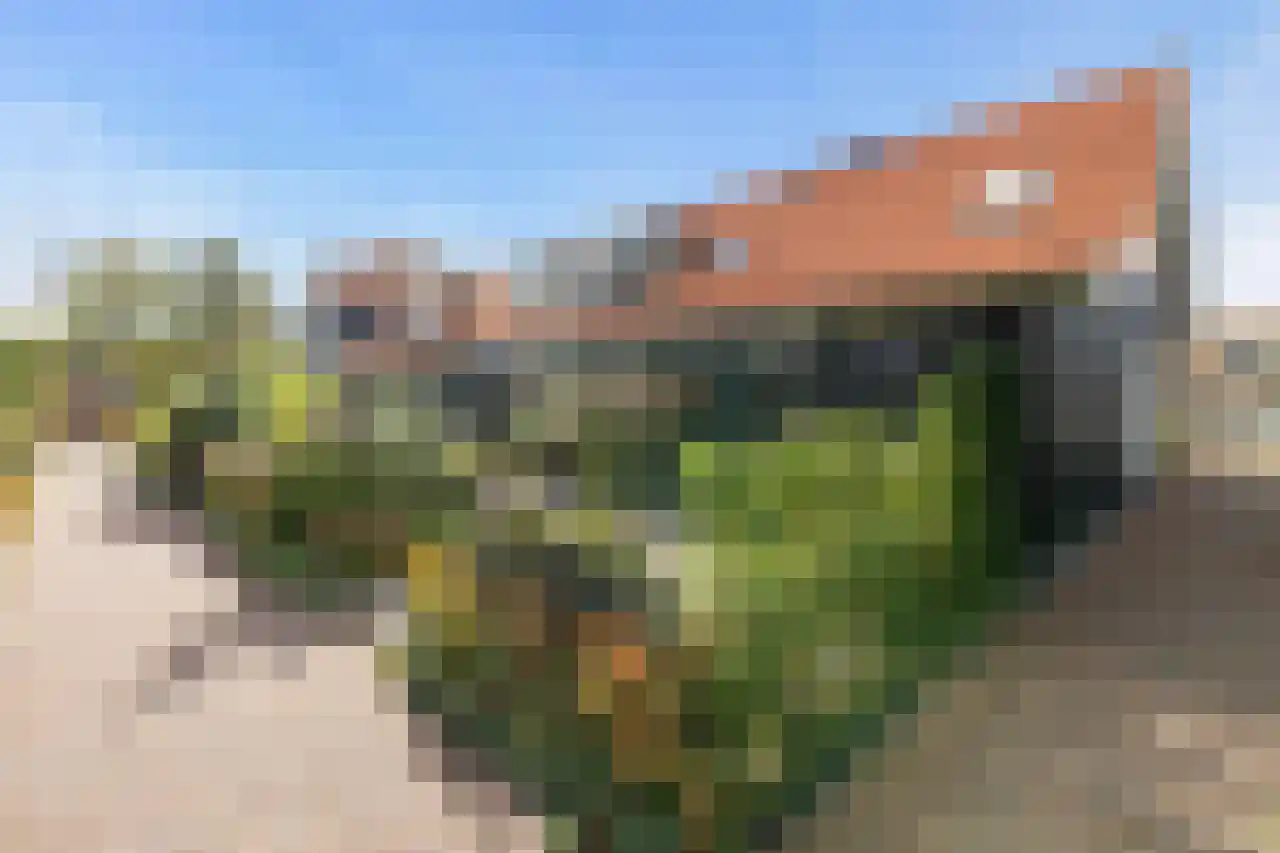 Het Schild 6 Heerhugowaard thumbnail 39