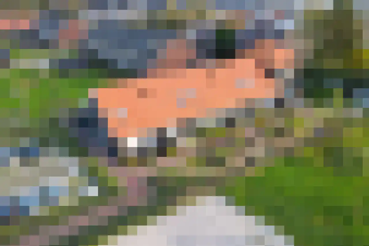 Het Schild 6 Heerhugowaard thumbnail 41
