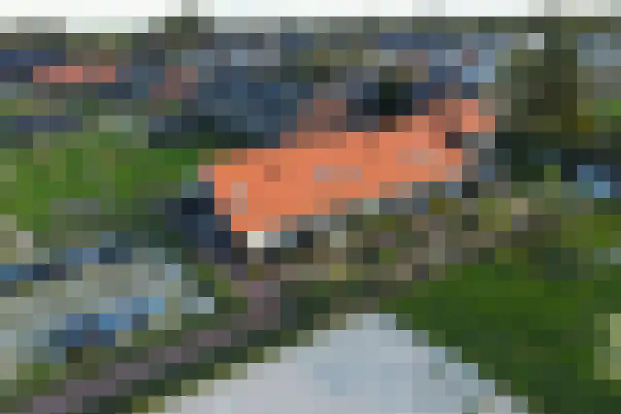 Het Schild 6 Heerhugowaard thumbnail 42