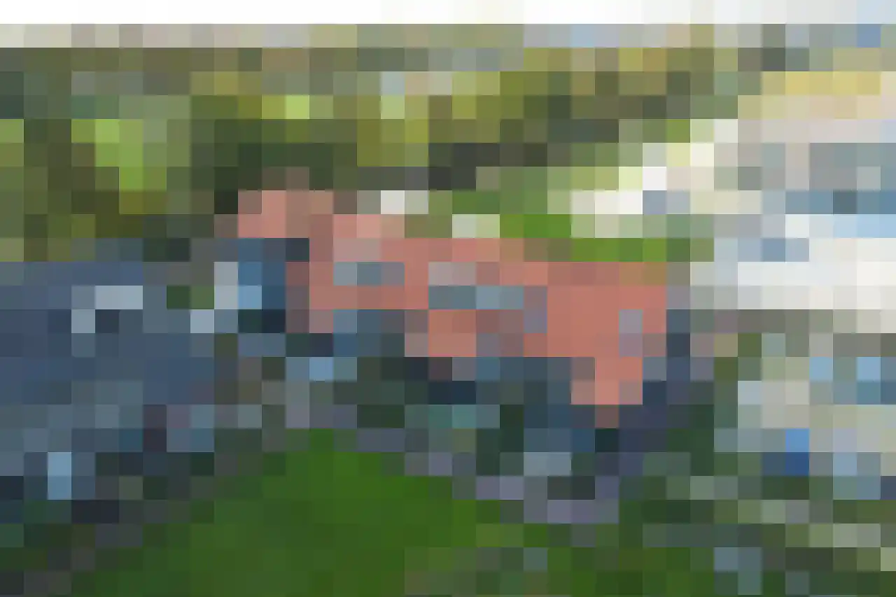 Het Schild 6 Heerhugowaard thumbnail 48
